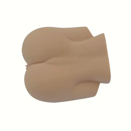 Silicone Ass & Vagina